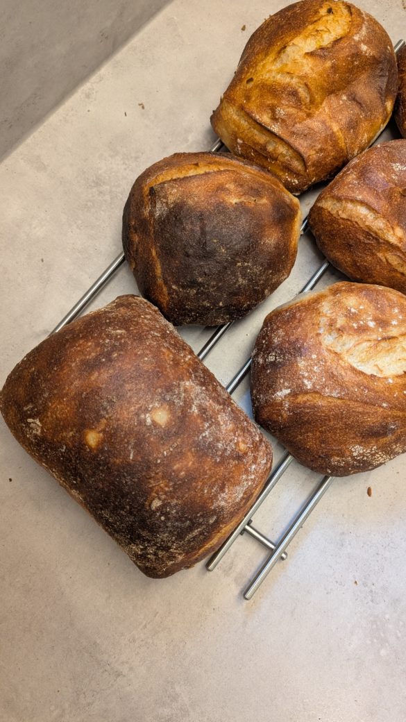 Kartoffel-Bier-Ciabatta als Brötchen abgestochen